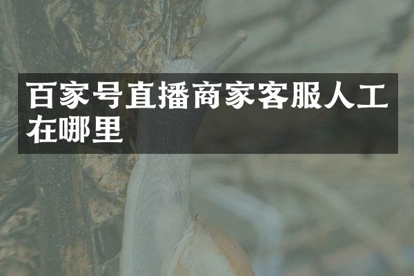 百家号直播商家客服人工在哪里