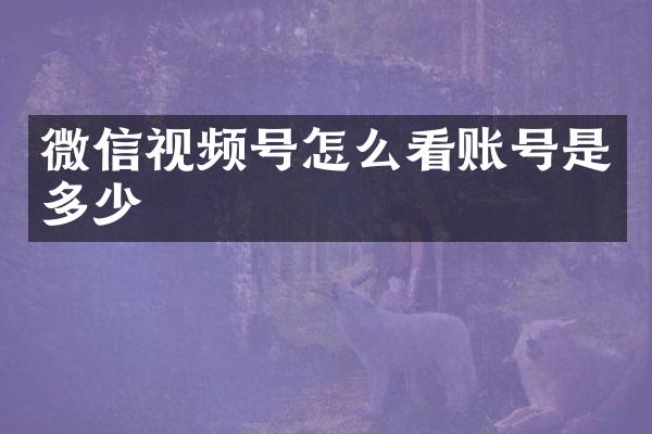 微信视频号怎么看账号是多少