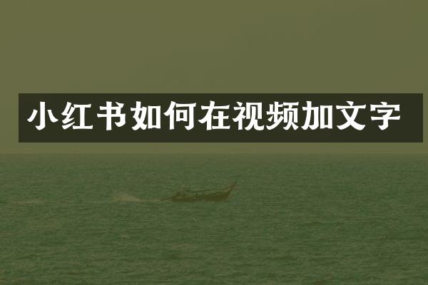 小红书如何在视频加文字