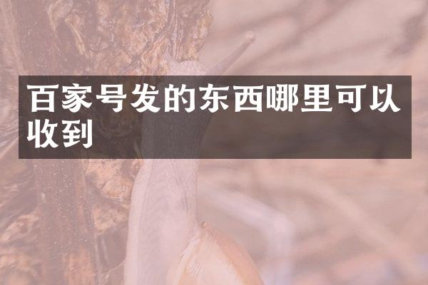 百家号发的东西哪里可以收到