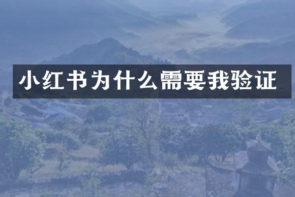 小红书为什么需要我验证