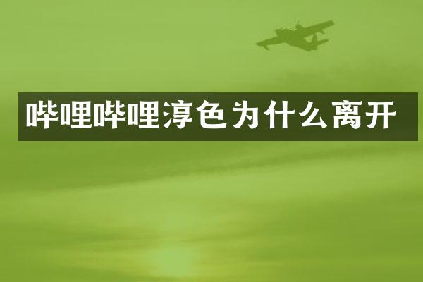 哔哩哔哩淳色为什么离开