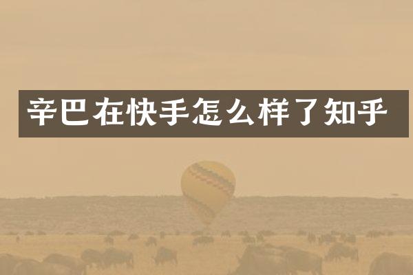 辛巴在快手怎么样了知乎