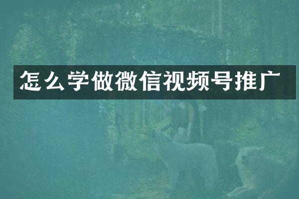 怎么学做微信视频号推广