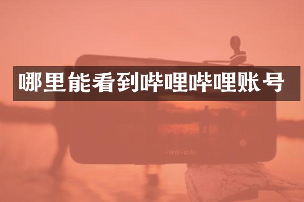 哪里能看到哔哩哔哩账号