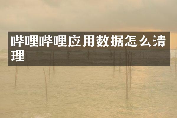 哔哩哔哩应用数据怎么清理