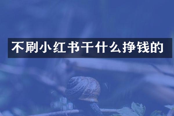 不刷小红书干什么挣钱的