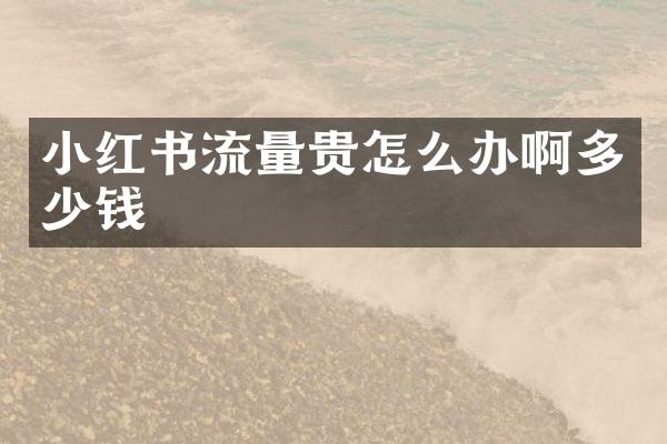 小红书流量贵怎么办啊多少钱
