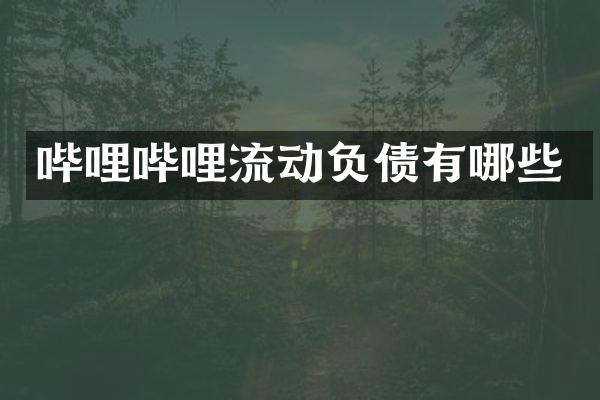哔哩哔哩流动负债有哪些