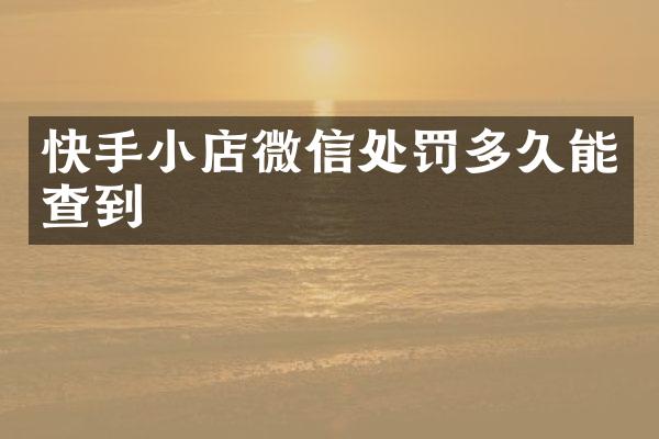 快手小店微信处罚多久能查到