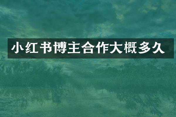 小红书博主合作大概多久