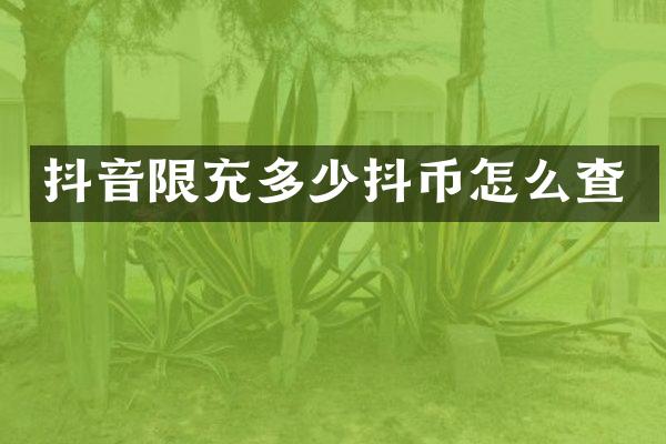 抖音限充多少抖币怎么查