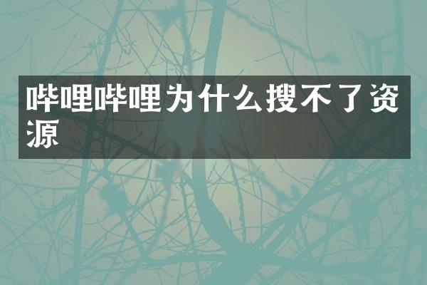 哔哩哔哩为什么搜不了资源