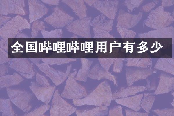 全国哔哩哔哩用户有多少
