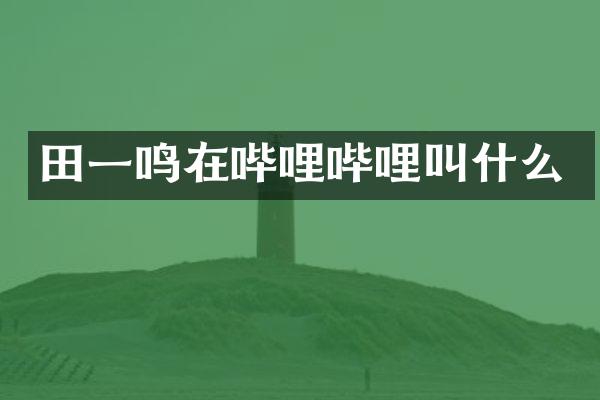田一鸣在哔哩哔哩叫什么