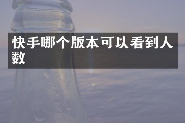 快手哪个版本可以看到人数
