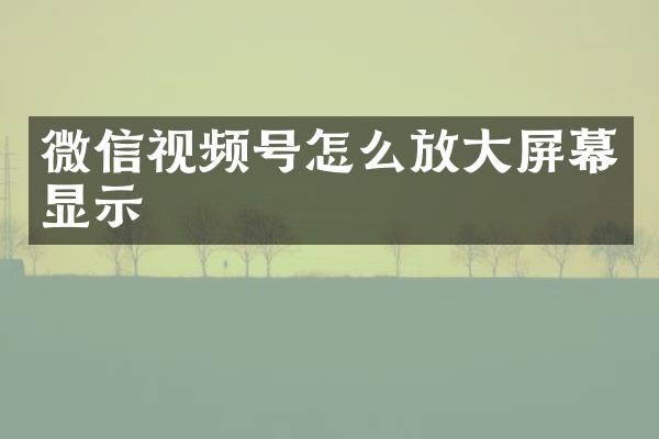 微信视频号怎么放大屏幕显示