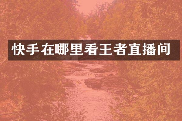 快手在哪里看王者直播间