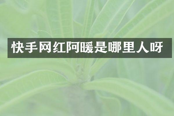 快手网红阿暖是哪里人呀