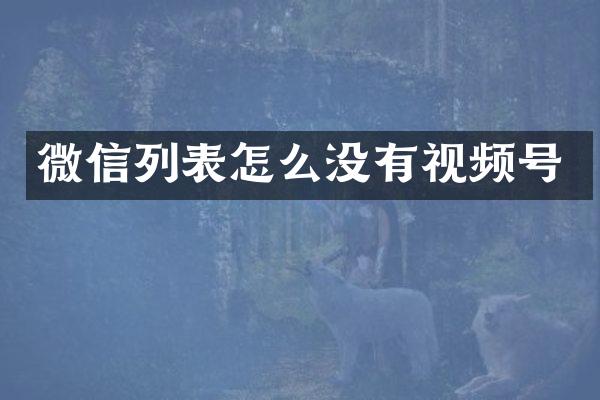 微信列表怎么没有视频号