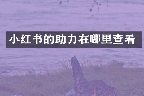 小红书的助力在哪里查看