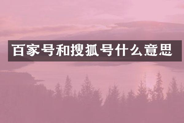 百家号和搜狐号什么意思