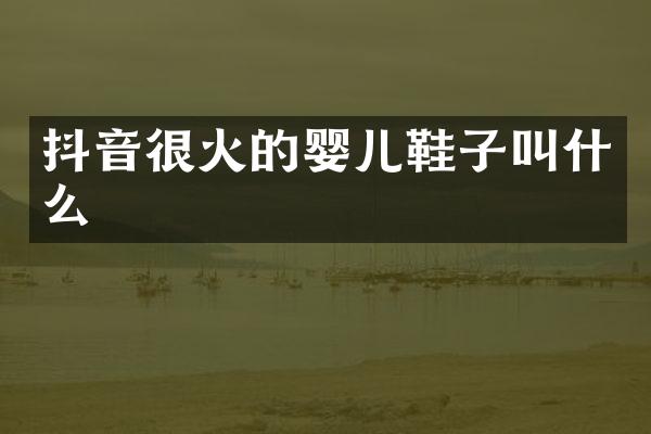 抖音很火的婴儿鞋子叫什么