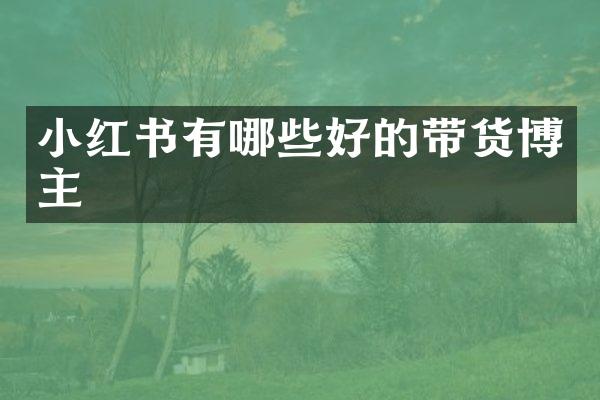 小红书有哪些好的带货博主