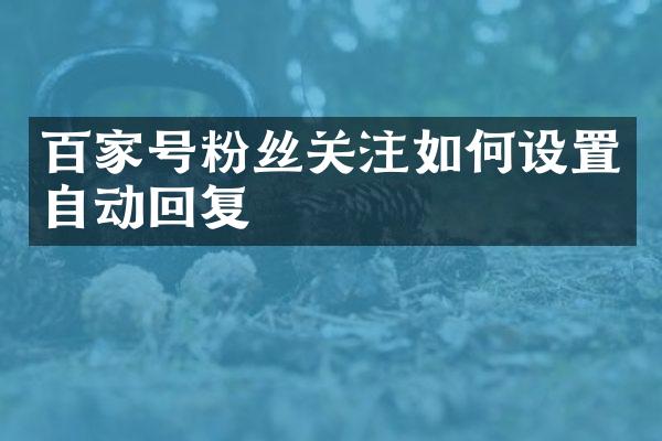 百家号粉丝关注如何设置自动回复