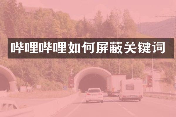 哔哩哔哩如何屏蔽关键词