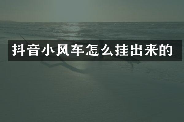 抖音小风车怎么挂出来的
