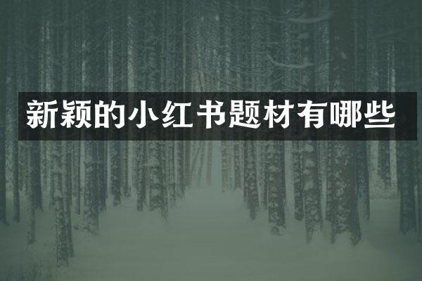新颖的小红书题材有哪些