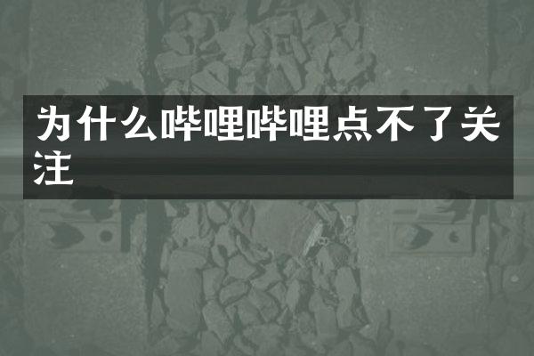 为什么哔哩哔哩点不了关注