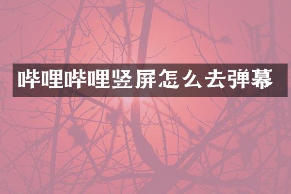 哔哩哔哩竖屏怎么去弹幕