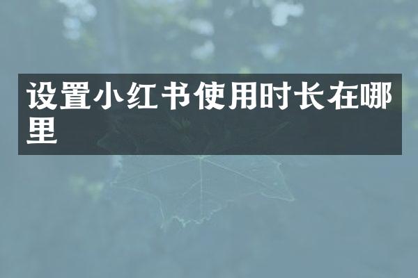 设置小红书使用时长在哪里