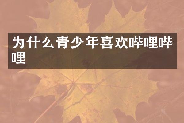 为什么青少年喜欢哔哩哔哩