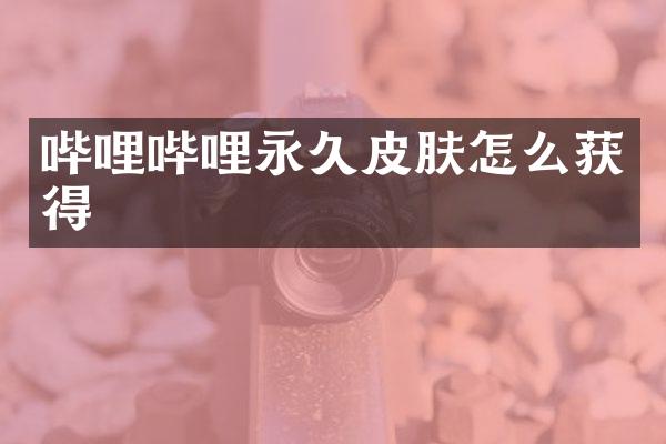 哔哩哔哩永久皮肤怎么获得