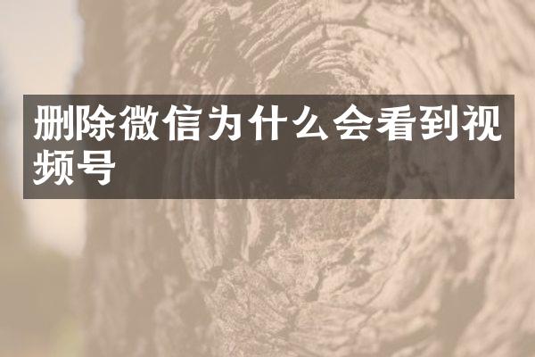 删除微信为什么会看到视频号