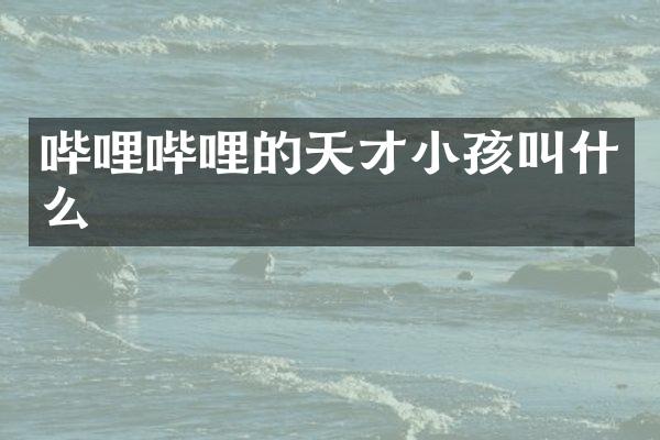 哔哩哔哩的天才小孩叫什么