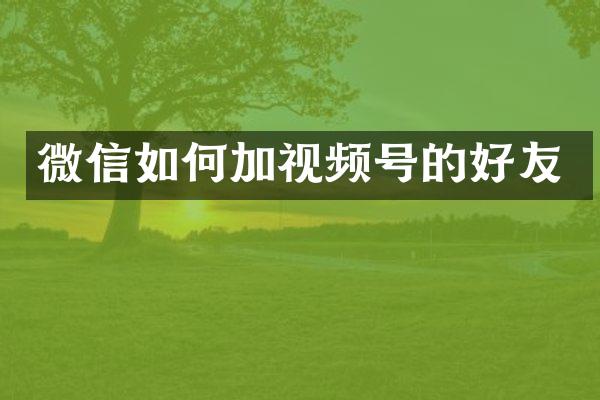 微信如何加视频号的好友