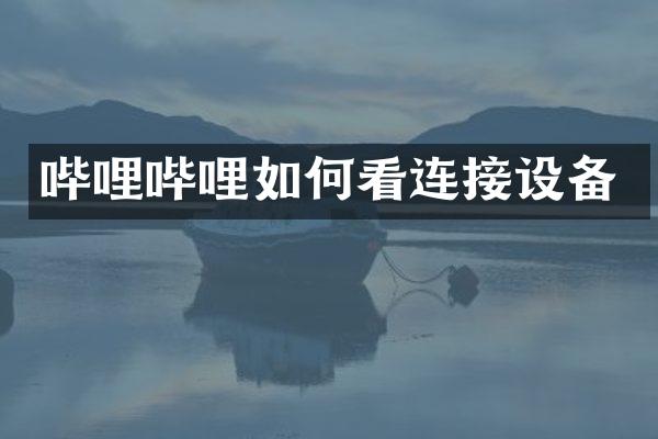 哔哩哔哩如何看连接设备