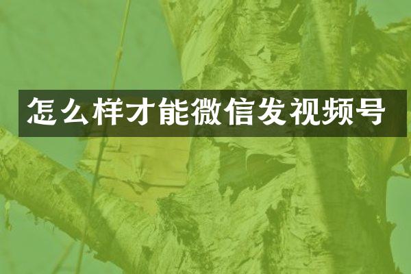 怎么样才能微信发视频号