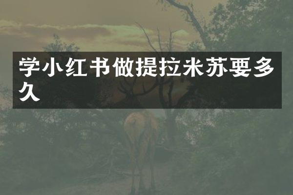 学小红书做提拉米苏要多久
