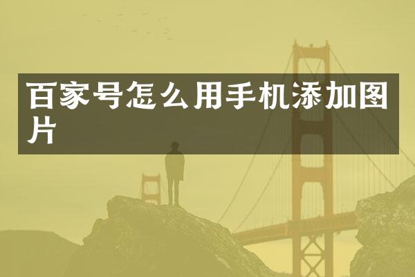 百家号怎么用手机添加图片