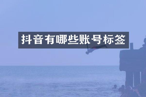 抖音有哪些账号标签