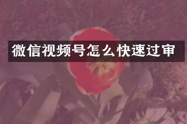 微信视频号怎么快速过审