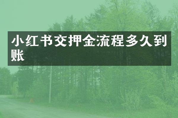 小红书交押金流程多久到账