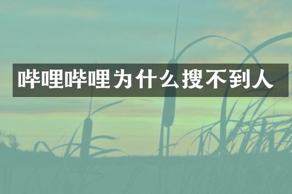 哔哩哔哩为什么搜不到人