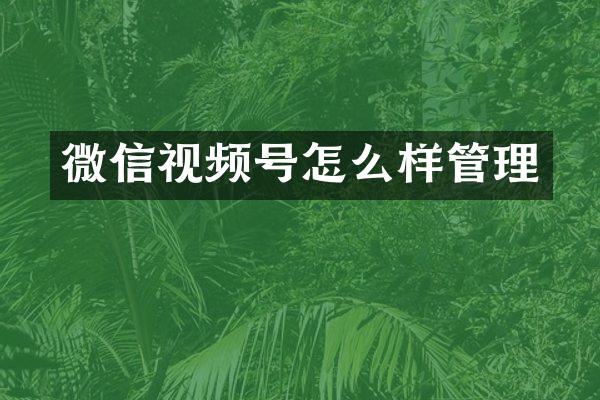 微信视频号怎么样管理