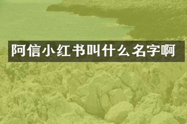 阿信小红书叫什么名字啊